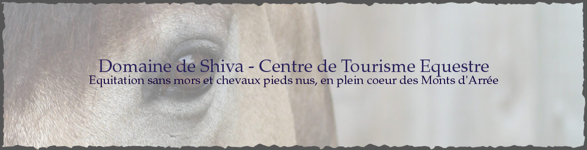 Domaine de Shiva - Centre de Tourisme Equestre